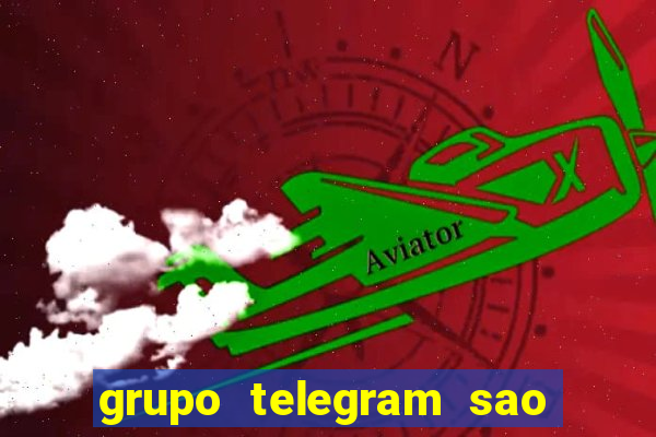 grupo telegram sao jose do rio preto